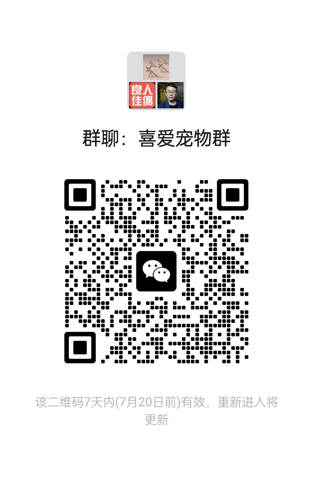 喜爱宠物群