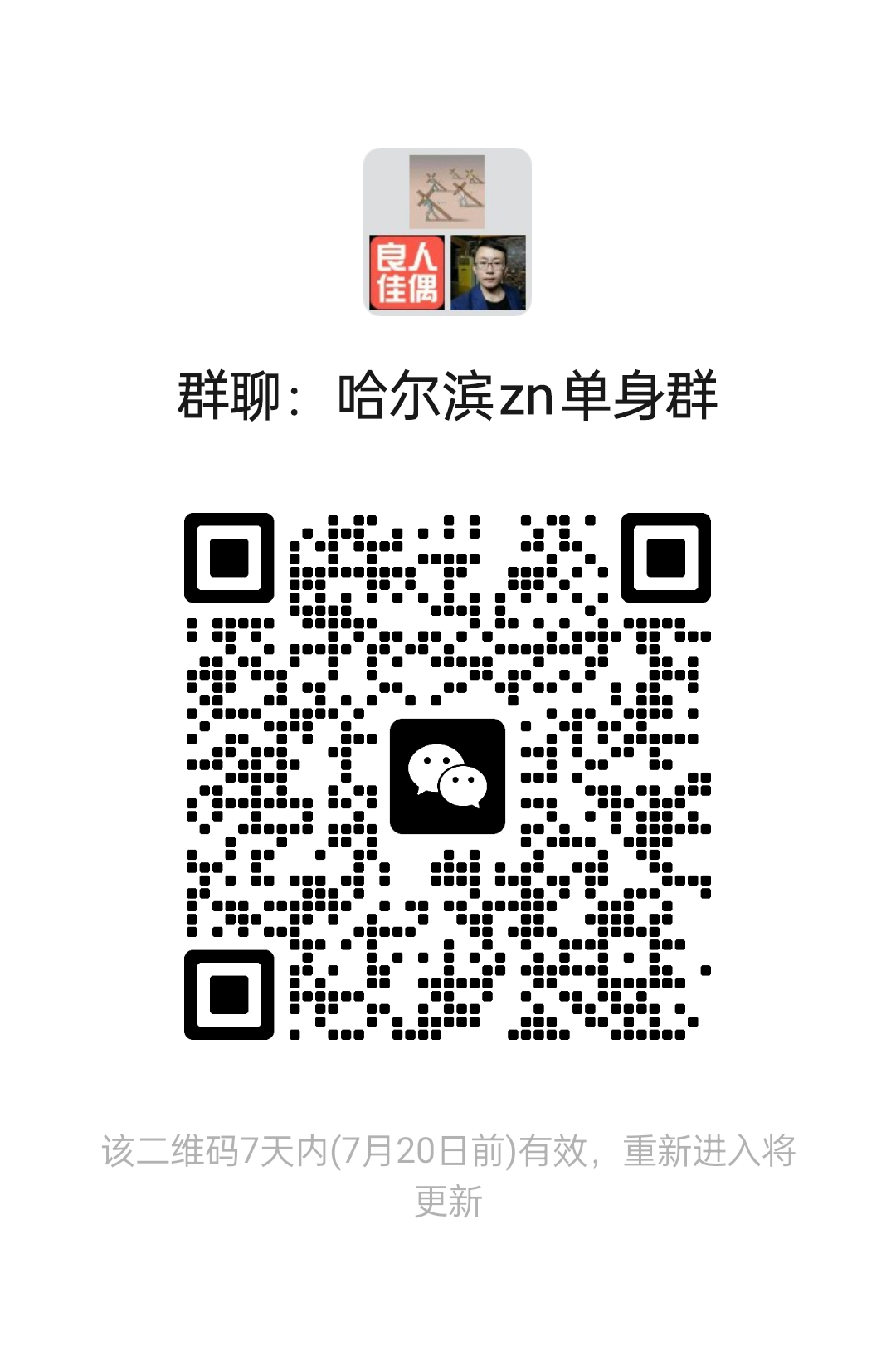 哈尔滨zn单身群