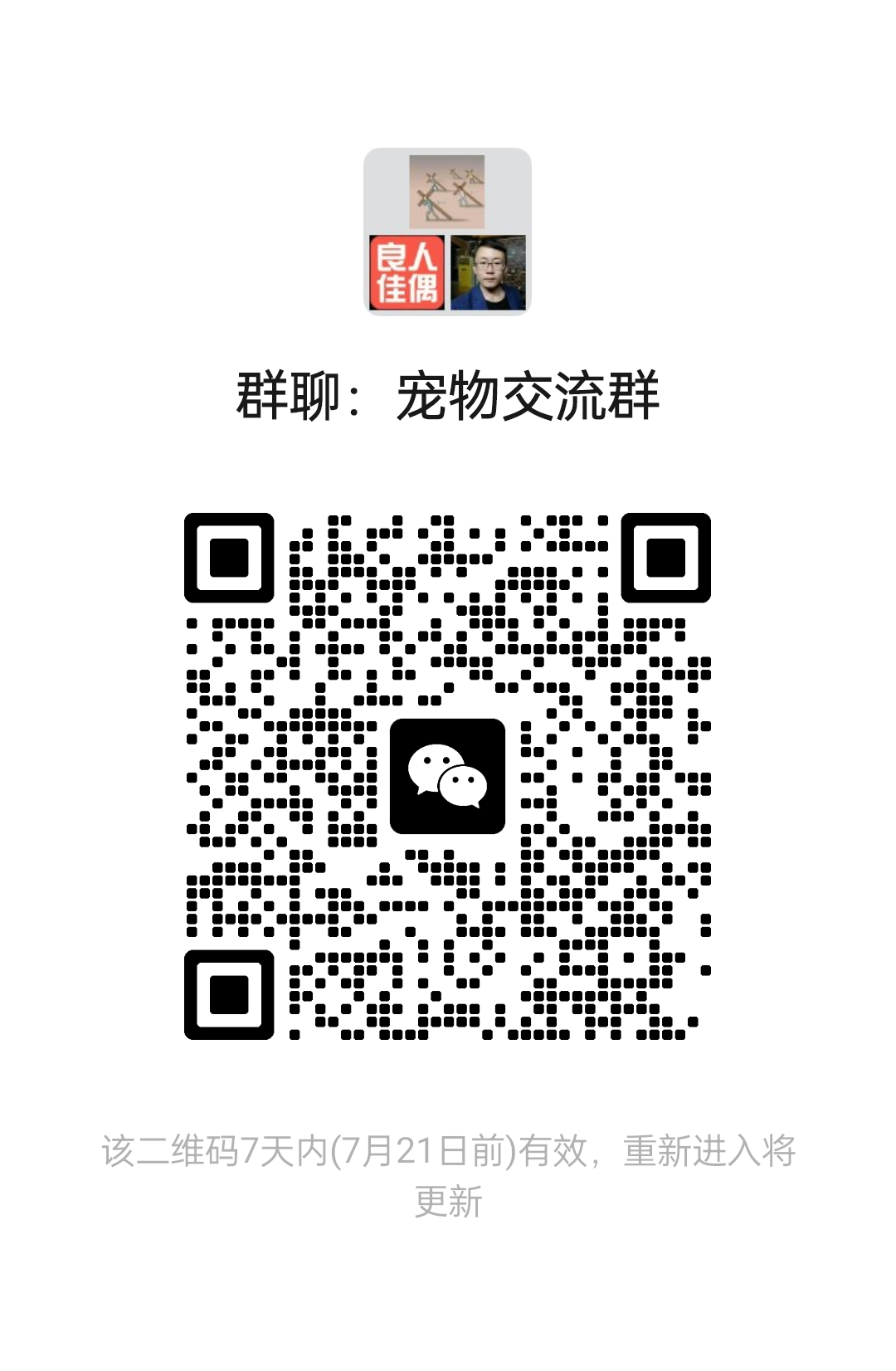 宠物交流群