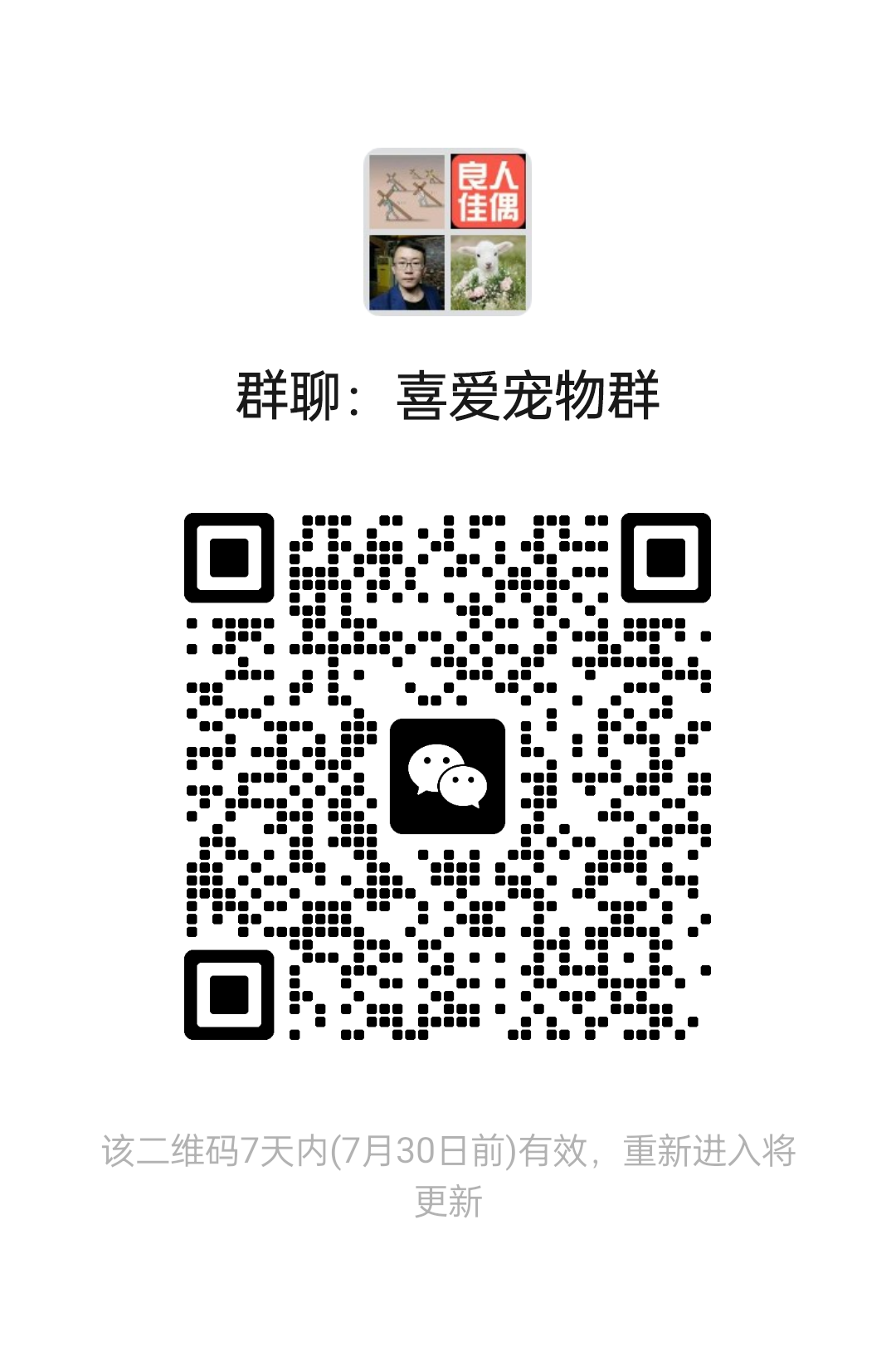 喜爱宠物群