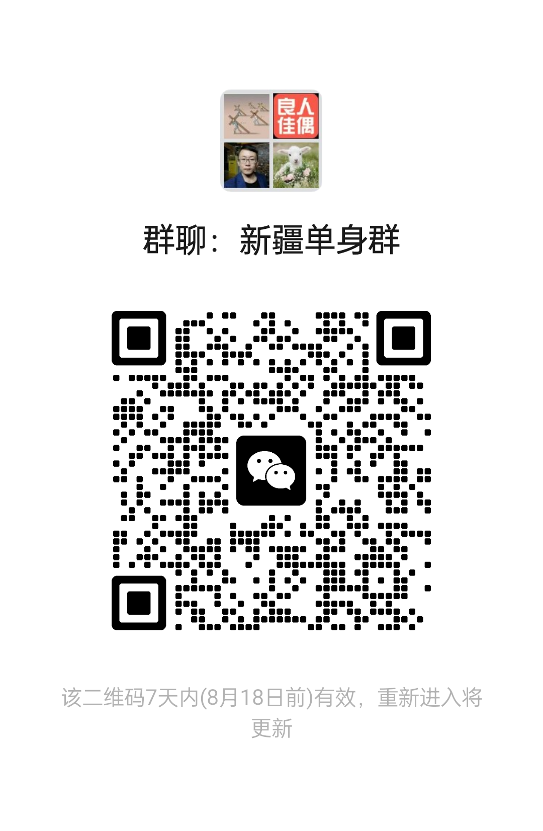 新疆单身群
